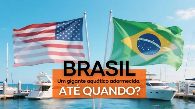 BRASIL: um gigante adormecido.